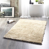 Origins Glamour/Shimmer Rug