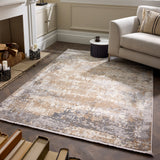 Origins Cosimo Distressed Rug Blue/Grey Rug