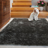 Origins Glamour/Shimmer Rug