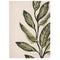 Origins Paradise Leaf Rug