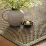 Origins Sisal Rug