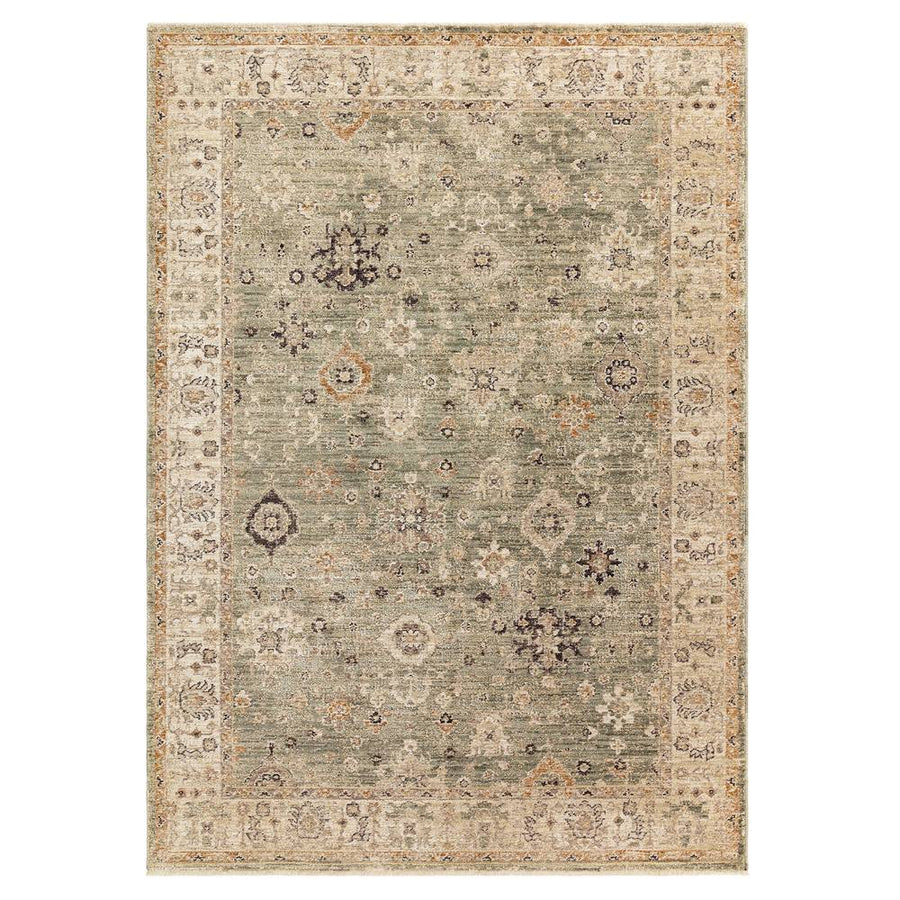 Asiatic Heriz Ornate Rug